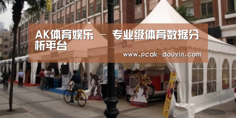 案例标题九
