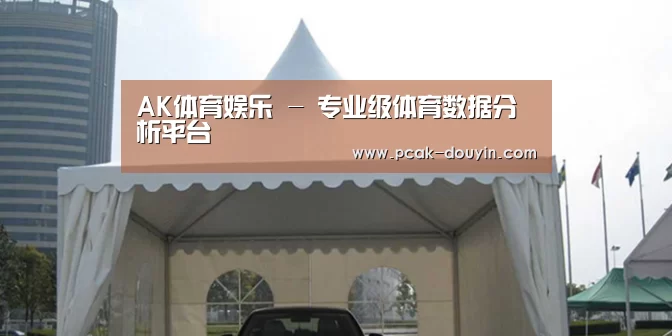 案例标题八