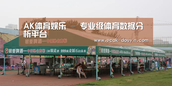 案例标题七