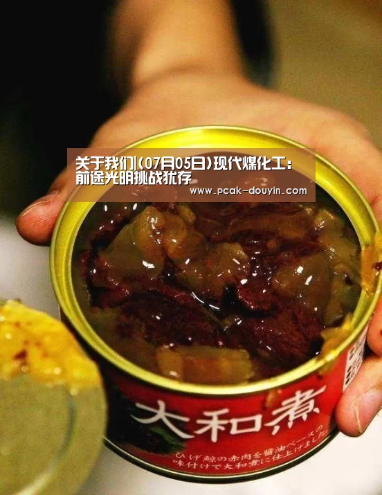  关于我们|(07月05日)现代煤化工：前途光明挑战犹存