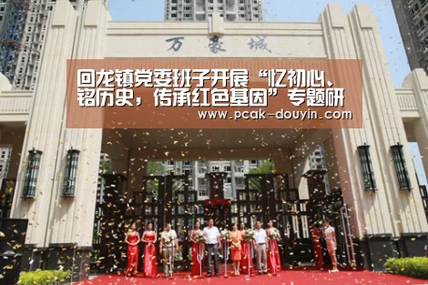 回龙镇党委班子开展“忆初心、铭历史，传承红色基因”专题研讨- 品牌故事
